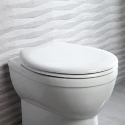 Roper Rhodes Neutron Soft Close Toilet Seat 7 Roper Rhodes Neutron Soft Close Toilet Seat -Vado Shop 8901wsc life