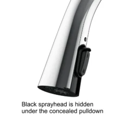 Clearwater Rosetta WRAS Approved Single Lever Mono Pull Out Kitchen Mixer And Cold Filtered Water Tap - Matt Black -Vado Shop clearwater rosetta filter pull out tap spray head close up