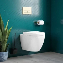 Harbour Clarity Rimless Wall Hung Toilet & Soft Close Seat