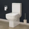 Harbour Icon Modern Fully Back To Wall Toilet & Soft Close Seat