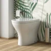 Harbour Identity Back To Wall Toilet & Soft Close Seat
