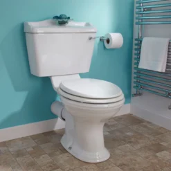 Butler & Rose Benedict Traditional Close Coupled Toilet (Excluding Seat) -Vado Shop ryther toilet hero