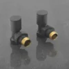 Sagittarius Modern Angled Radiator Valves - Anthracite