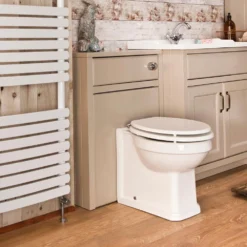 Butler & Rose Catherine Traditional Back To Wall Toilet (Excluding Seat) -Vado Shop traditional btw toilet hero 2